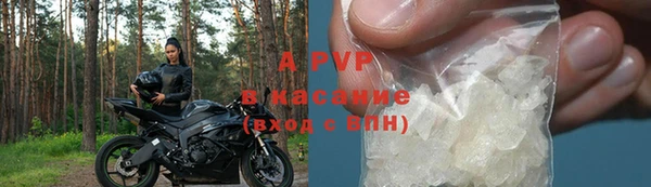 спиды Богородск